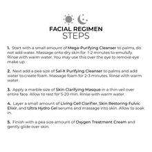 Load image into Gallery viewer, Purify Facial Kit
